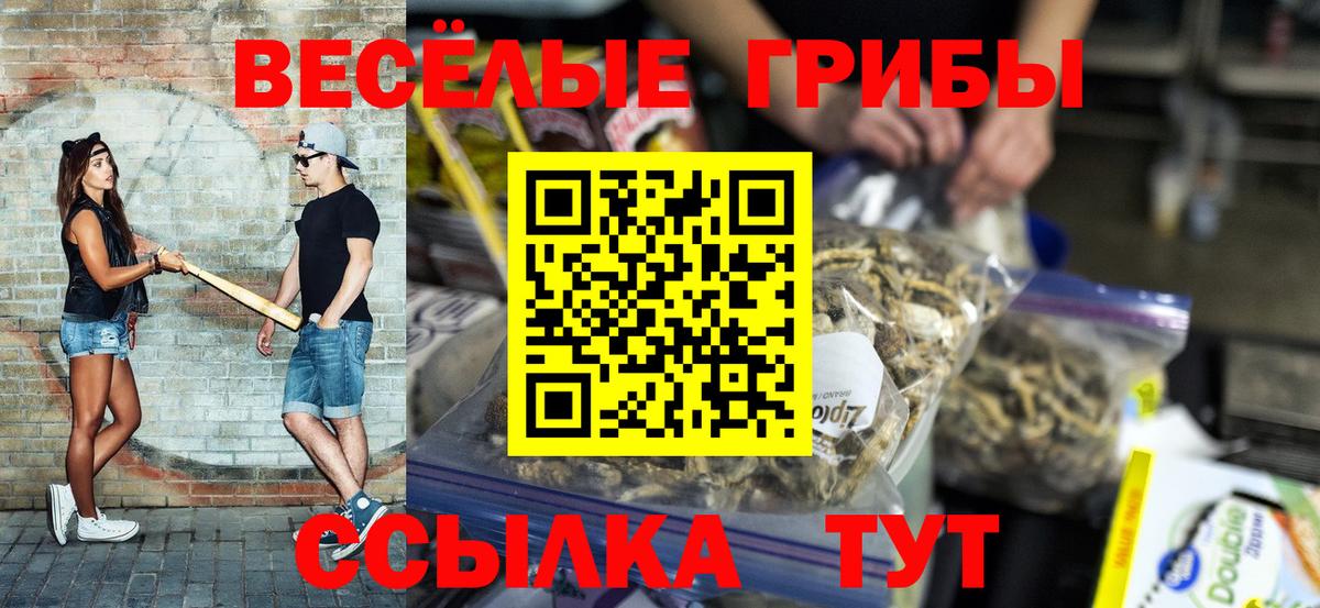 хочу наркоту  Галлюциногенные грибы Magic Shrooms  Рубцовск  Вход с VPN  Галлюциногенные грибы прущие грибы 